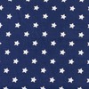 Linseed Cushion 19 x 19 cm Stars Blue - Small