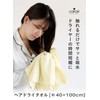 CBJAPAN Carari One Hair Drying Towel, 3x Water Absorbency Microfiber,