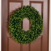 Wicker Park 24" Indoor/Outdoor Boxwood Wreath:_Lilac