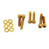 POWERJAMES 6pcs Gold Transmission covers bolt kit for Harley 06-24