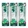 Dentis Tubular Type Toothpaste Powder, Mint Scent, Kiss Immediately Wake