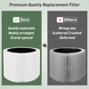 2 Pack 211i Max Replacement Filter Compatible with BLUEAIR Blue