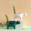 Succulent Planter with Drainage Cat Ceramic Garden Pot Cactus Planter