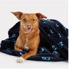 GF Pet - Premium Dog Blanket Soft Coral Fleece for