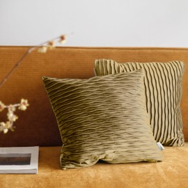 Pagnanno. Set of 2 Soft Velvet Cushion Covers 45x45cm (18x18 Inches) Waves Throw Pillow Cases Square Cushion Covers for Chairs, living room, bedroom with Invisible Zipper (18"x18" (Pack of 2), Brown)