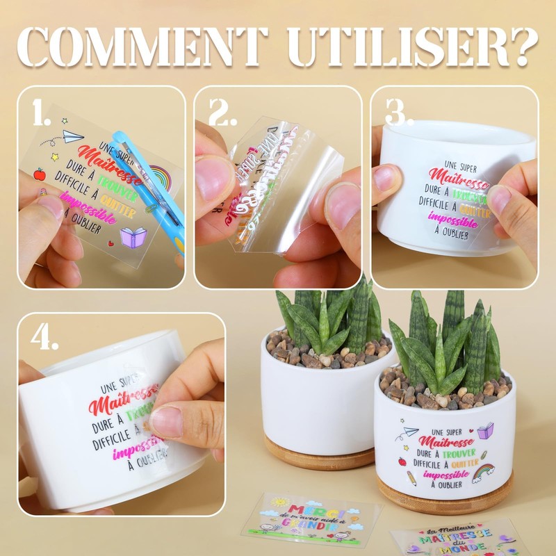 BOFUNX Set of 3 flower pots with 3 stickers