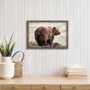Brown Bear Framed Wall Art - Wildlife Picture Wild Animals