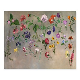 CLOUD NINE PRINTS | Flower Study, Vintage French Botanical Print - Summer Flower Wall Art, Shabby Chic Home Decor, Floating Still Life Art (Unframed 5x7 Print)