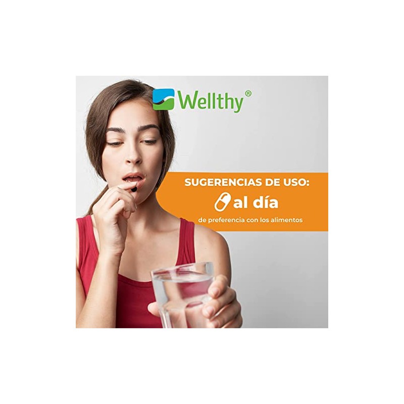 Wellthy Zinc Cúrcuma Jengibre 120 Cápsulas Optizinc Fórmula Patentada Alta