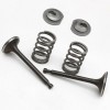 For Honda 1 Set Valve Springs For Honda GX160 GX200