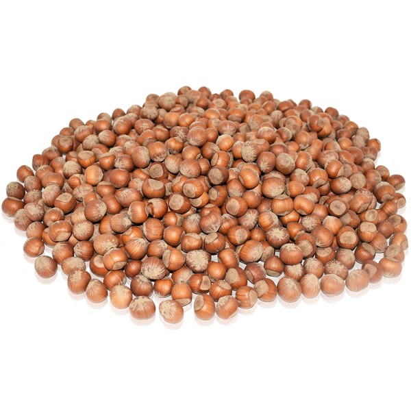 Anna and Sarah Anna and Sarah Large Oregon Hazelnuts in