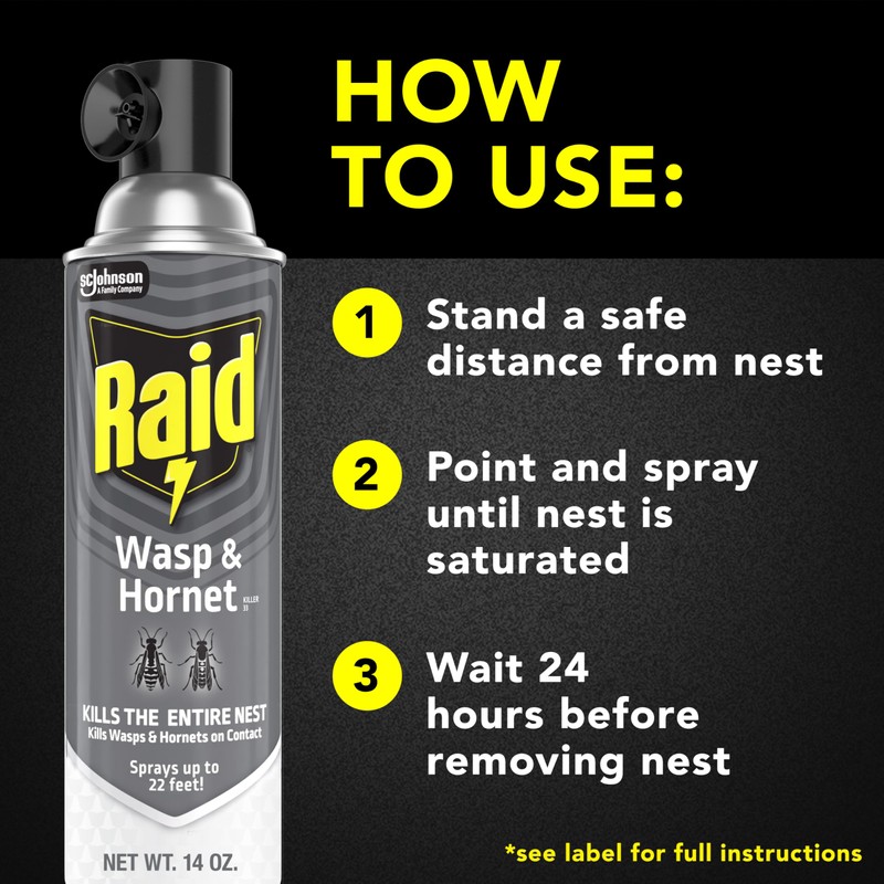 Raid Wasp & Hornet Killer Spray, Bug Killer Kills the