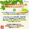 Ribet Corporation Ginkgo Leaf Extract Plus 30 Day Supply DHA