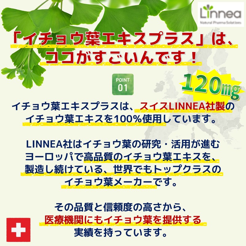 Ribet Corporation Ginkgo Leaf Extract Plus 30 Day Supply DHA