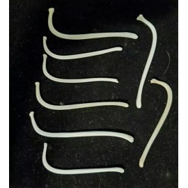 Arlington TX Junk Shop One Small (4" or less) Raccoon Baculum Bone