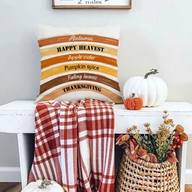 RABUSOFA Fall Pillow Covers 20x20 Inch,Autumn Pumpkin Rainbow Decor Thanksgiving Outdoor Cushion Case Farmhouse Decoration for Home Sofa Couch Square (Orange, 20" x 20")