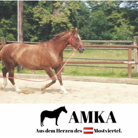 AMKA Lunge Cotton Lunging Lead Cotton Brown
