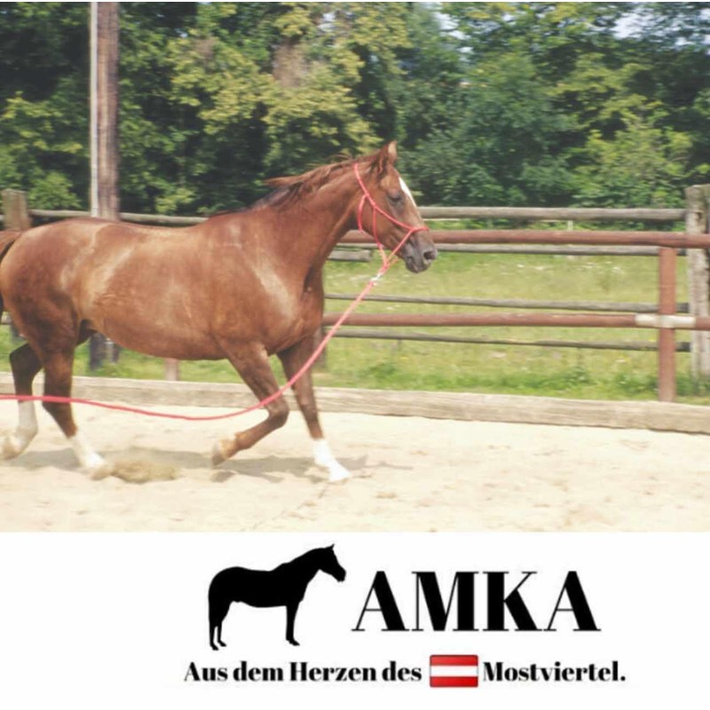 AMKA Lunge Cotton Lunging Lead Cotton Brown