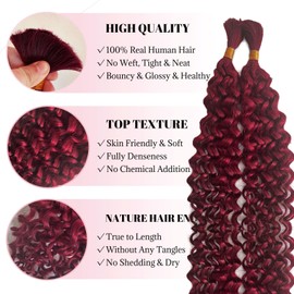 Belaved Human Braiding Hair Burgundy Red for Boho Braids Water Wave Bulk Human Hair for Braiding Curly Human Hair Extensions Wet Wavy 100g 2 Bundles No Weft Micro Braiding 30 Inch
