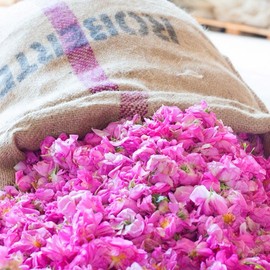 kanoko herbal henna shampoo 250ml