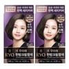 Ryo Uachae Stylish Gray Hair Cream 120g 4pcs Dark Brown