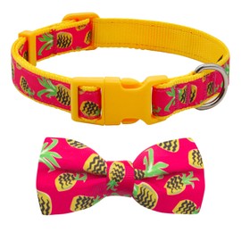 Azuza Bowtie Collar para perro, piña, Pineapple, M (Neck:14'' - 20'')