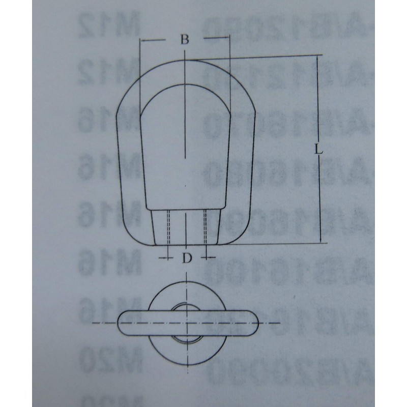 Stainless Steel 316 Type 804 US Shape Lifting Eye Nut