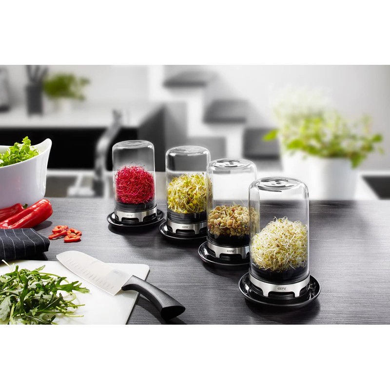 SPROUTING JAR (Black)