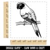 Sun Conure Parrot on a Branch Square Rubber Stamp for