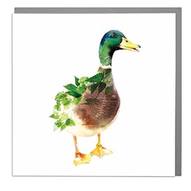 Lola Design - Wildlife Botanical Greeting Cards, Mallard Duck Design - Suitable for Birthdays, Congratulations or Any Special Occasions - Blank Inside with Grey Envelope - 150mm x 150mm