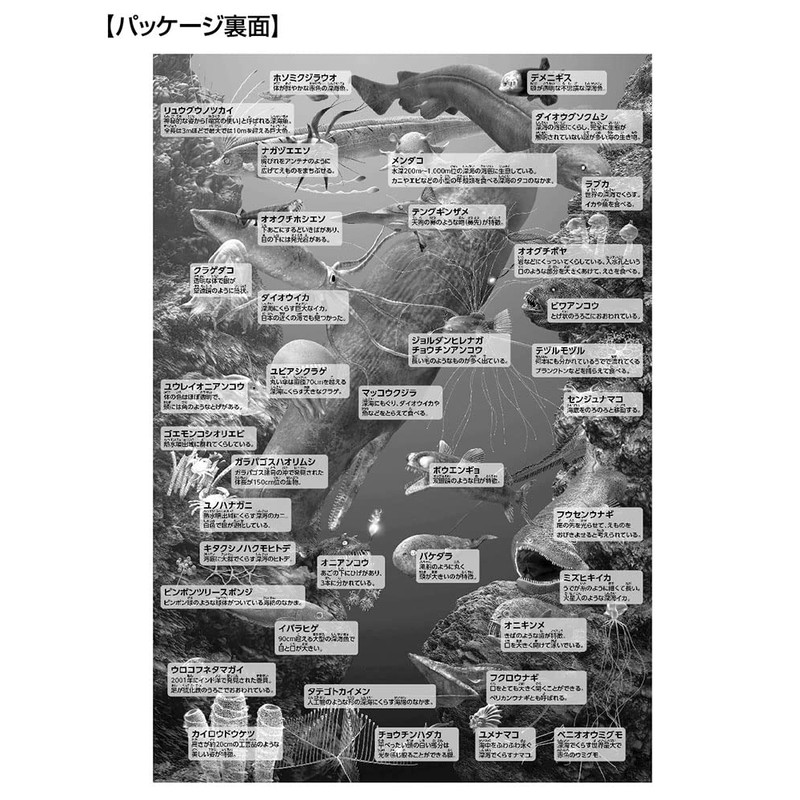 【Made in Japan】Beverly 150 Large Jigsaw Puzzle Let's Learn About