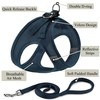 Dog Harness with Leash Set, No Pull Adjustable Reflective Step-in