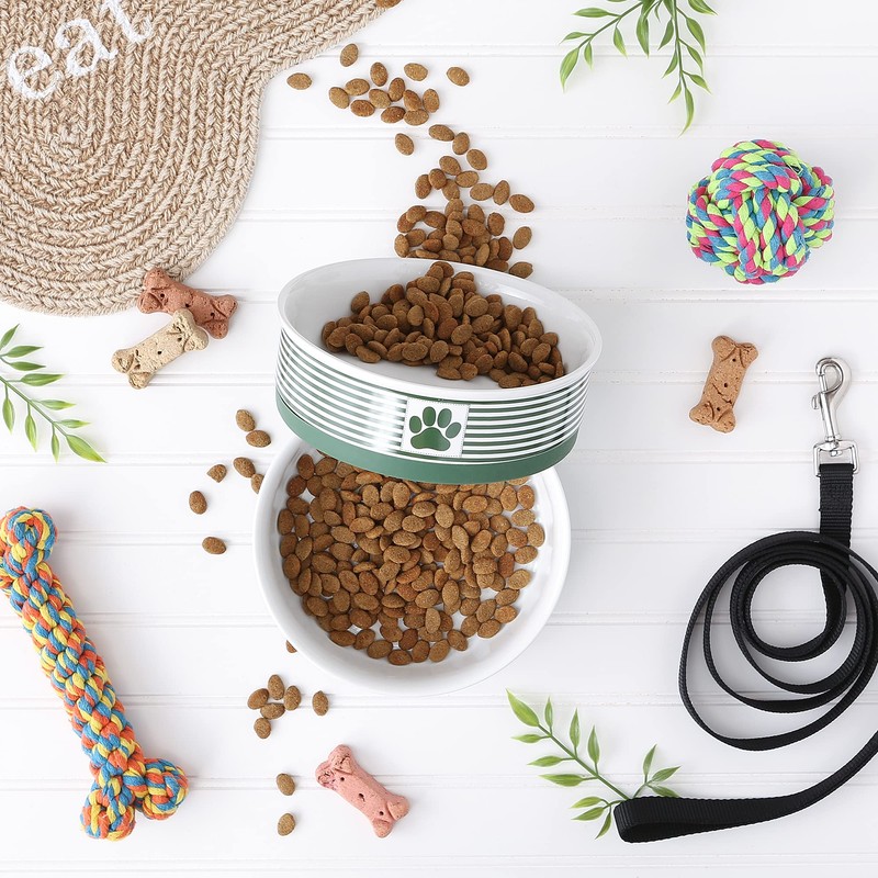 Bone Dry Paw & Patch Ceramic Pet Collection, Large Set,