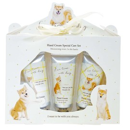 Coji Company 172651 Hand Cream Special Care Set, FTD Shiva W 6.3 x D 1.0 x H 6.9 inches (160 x 26 x 176 mm)