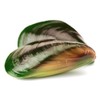 Green-lipped Mussel, 500 mg, high-dose Extract, 120 Capsules - Without