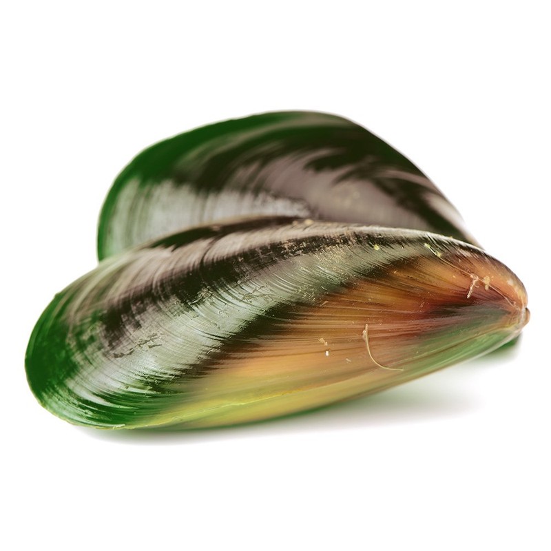 Green-lipped Mussel, 500 mg, high-dose Extract, 120 Capsules - Without