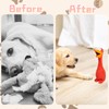 XLTXWD 2Pcs Squeaky Dog Toys, Squeaky Toy, Duck dog toy