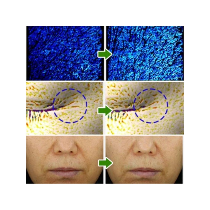 SIDMOOL Phyto PDRN Repair Cream 60ml