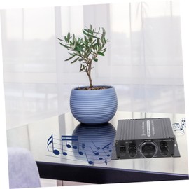 TEHAUX 1pc Professional Wireless Sound Amplifier HiFi Mini Digital Audio Amplifier Stereo Dac Amp