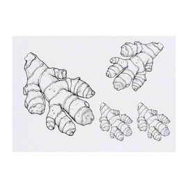 4 x 'Ginger Root' Temporary Tattoos - Water Resistant, Skin-Safe, Non-Toxic Transfers, Mixed Sizes (TO00084850)