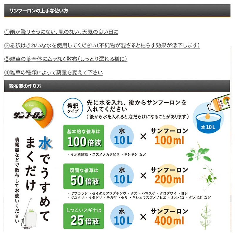 Taisei Nozai Sun Fulon