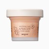 SKINFOOD [SKINFOOD] Apricot Food Mask 120g_Soft Soothing Pack/Apricot Pack