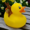 Bath Duck Squeaky Duck Bath Toy (Duck Easter Bunny)