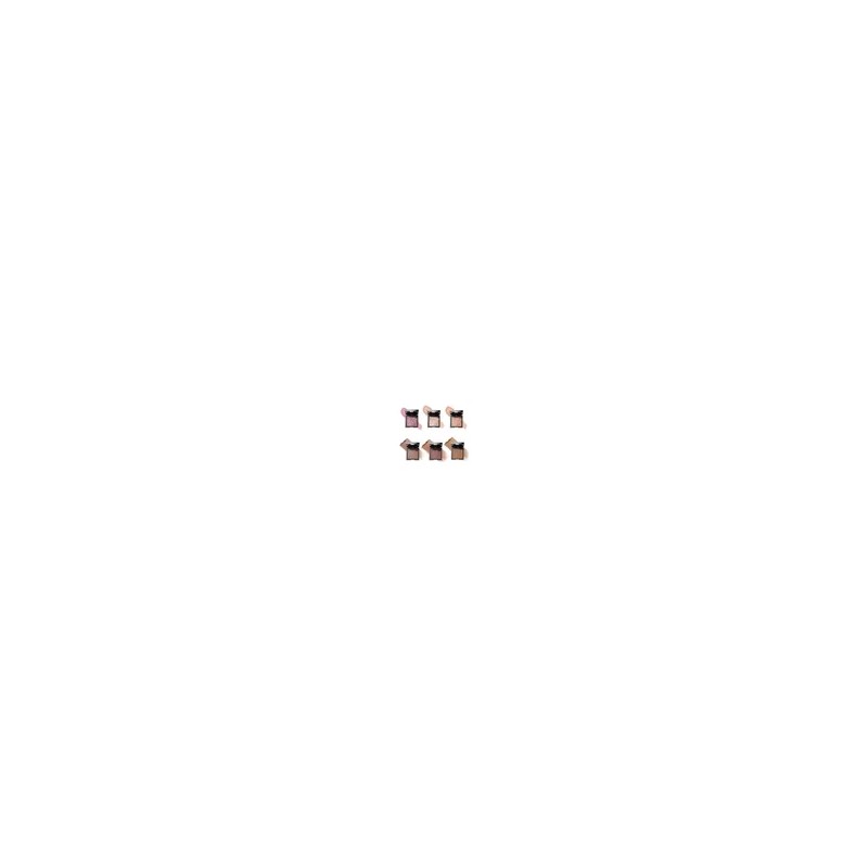 Set 6 Polvo Compacto Corrector Larga Duracion Mate --