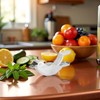 1pc Silver Manual Lemon Juicer,Exquisite Bird Stainless Steel Manual Lemon