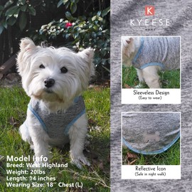 KYEESE 2 Pack Dog Shirts Quick Dry Soft Stretchy Dog T-Shirts with Reflective Label Tank Top Sleeveless Vest Sun Protection Dog Clothes for Small Dogs, X-Large, Light Blue+Grey