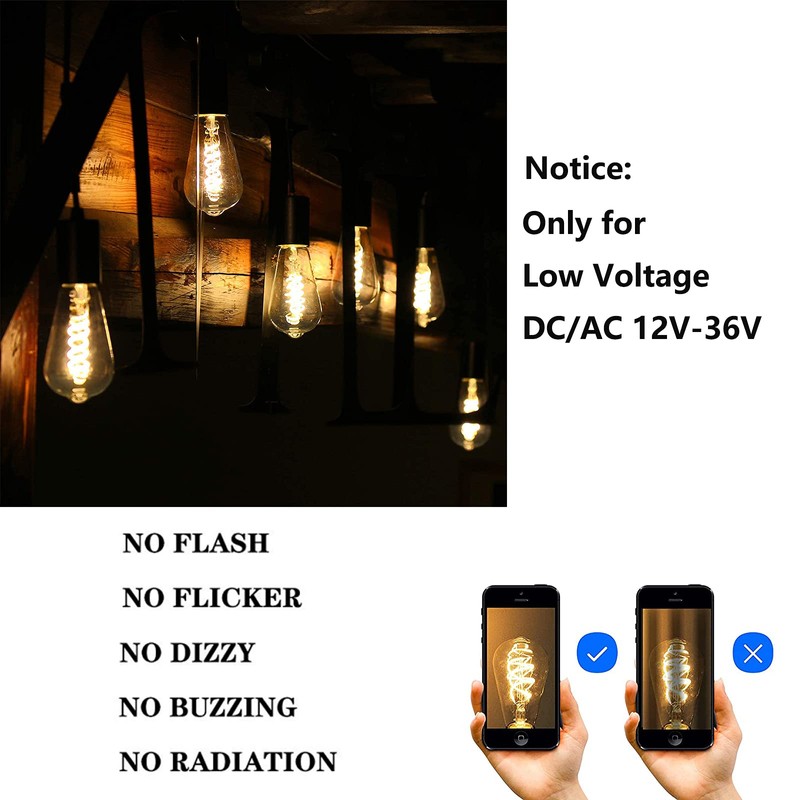 12V LED Edison Bulbs 40W Equivalent, Low Voltage 4W Vintage