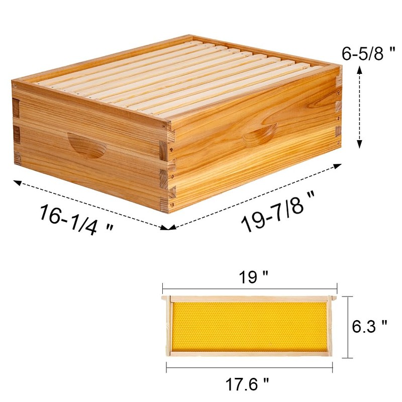 BeeCastle 10 Frame Assembled Medium Honey Super Bee Hive Box
