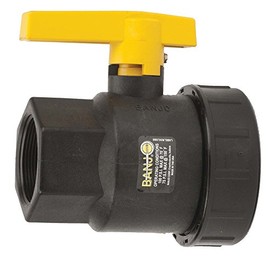 Banjo UV200FP 2" Single Union Poly Valve