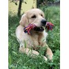 Nuts For Knots "Twist-Tee" 2 Knot Tugger Cotton Dog Toy